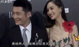 娱乐有料爆料,明星幕后故事大曝光！