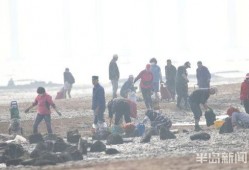 赶海视频爆料,揭秘海洋宝藏的神秘之旅