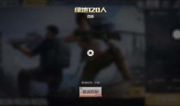 西湖玩家爆料事件视频大全