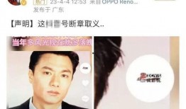 林俊贤老婆爆料视频,揭秘夫妻关系背后的真相