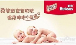 好奇宝宝爆料视频大全,视频大全趣味盘点