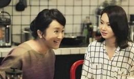 电视剧婆婆在线观看,家庭伦理剧的温情演绎