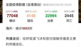 视频美国吹哨人爆料,揭秘真相背后的秘密