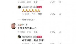 北海舅舅爆料视频