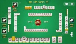 贵州麻将直播爆料视频播放,火爆视频背后的精彩瞬间