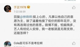 娱乐圈吃瓜被告,被告如何应对舆论压力