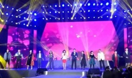 莲花楼演唱会爆料视频完整版,精彩瞬间回顾，独家爆料视频完整版揭秘