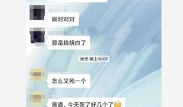 衡水桃中爆料视频,校园生活背后的真实故事