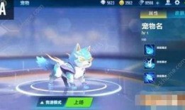 飞车手游最新宠物爆料,神秘力量觉醒，速度与激情再升级！