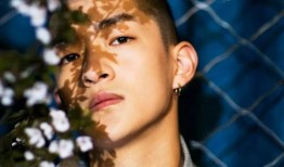 最新爆料屈楚萧新料,揭秘娱乐圈背后的真相