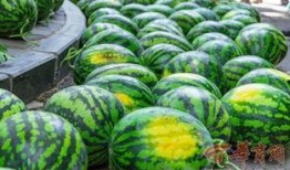 学校吃瓜最新爆料