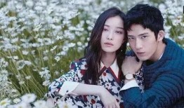 网友爆料井柏然视频大全