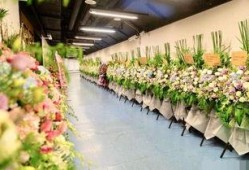 花篮网最新爆料网站,最新爆料网站内幕大曝光