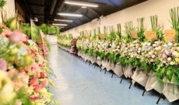 花篮网最新爆料网站,最新爆料网站内幕大曝光