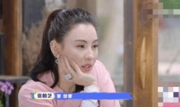 张柏芝三儿子爆料了吗视频,视频爆料引发热议
