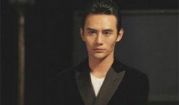 娱乐大爆料王凯,揭秘明星幕后故事