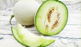 夏天吃瓜免费小说,免费小说盛宴