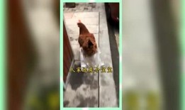 吃瓜群众娱乐素材,吃瓜群众揭秘明星幕后故事