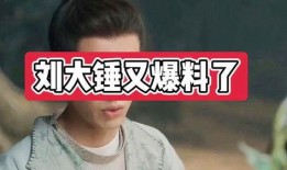 刘大锤爆料名单大全视频,揭秘娱乐圈幕后真相