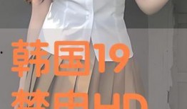 19禁韩国在线观看手机,揭秘19禁韩国在线观看手机背后的秘密