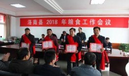 洛南爆料最新新闻事件