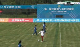 爆料足球假赛直播视频回放