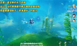 枫丹潜水爆料最新消息新闻,揭秘神秘海底世界新发现