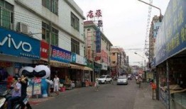 鸿阜园最新爆料,揭秘神秘项目背后的惊人真相