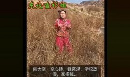 麦丽丝辣游境在线观看,一场视觉与味蕾的双重盛宴