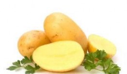 在线观看土豆l,畅享海量影视盛宴的便捷之旅