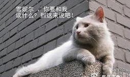 痞子猫手机在线观看,一场笑料百出的奇幻冒险之旅