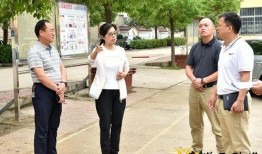 视频拍摄指南热点爆料,热点爆料大公开