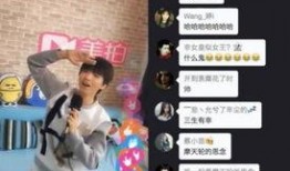 匿名爆料王俊凯视频播放,播放量激增引发热议