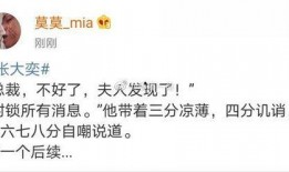 淘宝总裁夫人最新爆料,家族内幕与电商帝国背后的故事