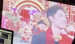 北京网红爆料视频最新消息,揭秘城市热点事件背后的真相