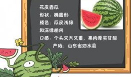 糊涂吃瓜小说免费阅读全文,穿越古代的甜蜜误会