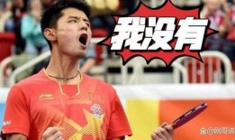 为什么要爆料张继科呢视频,背后真相与争议解析