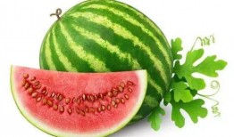 娱乐吃瓜喷子是谁的作品,网络红人的崛起与争议