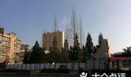 毕节八中最新爆料,揭秘校园风云背后的真相