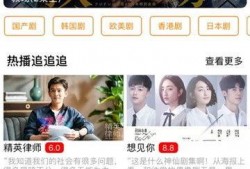 西港狠人爆料视频播放大全,揭秘网络背后的真实故事