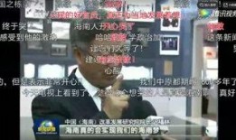 网友爆料内江新闻视频下载,揭秘热门事件背后真相