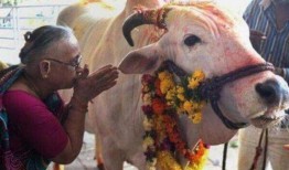 越牛新闻爆料奖,聚焦社会热点，奖励正义之声