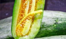 吃瓜超有料网红