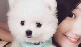 博美爆料新闻视频,新闻视频背后的惊人真相