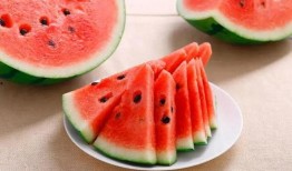 新疆网红求瓜吃播视频,一场别开生面的求瓜吃播盛宴