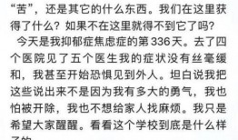 衡水桃中爆料视频,校园生活背后的真实故事