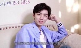 乐俊凯在线观看,青春偶像的璀璨舞台