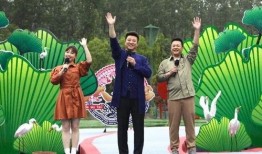 小晨最近的爆料新闻视频,最新爆料新闻视频深度解析