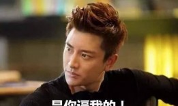 贾乃亮衣服爆料视频大全,衣服爆料视频大全回顾