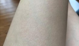 吃鸡皮肤爆料最新版下载,最新版下载，抢先体验全新视觉盛宴！